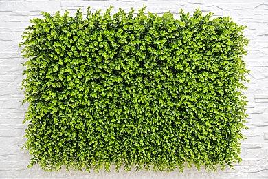 《Malleus Cocconum: The Heiress》Steam页面 支持中文